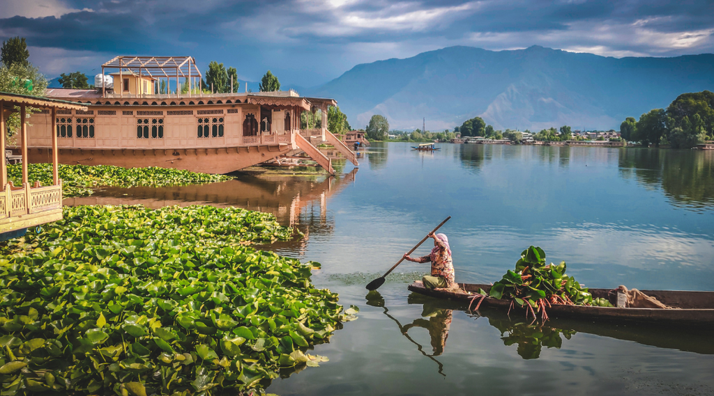 Eat, Pray and Chai: Our Journey through Chai Heaven